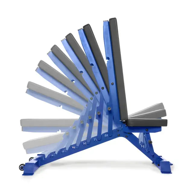 BUZZ-SAW Heavy-Duty Adjustable Bench with 8 back pad angles displayed, ideal for gyms and home fitness in Vancouver