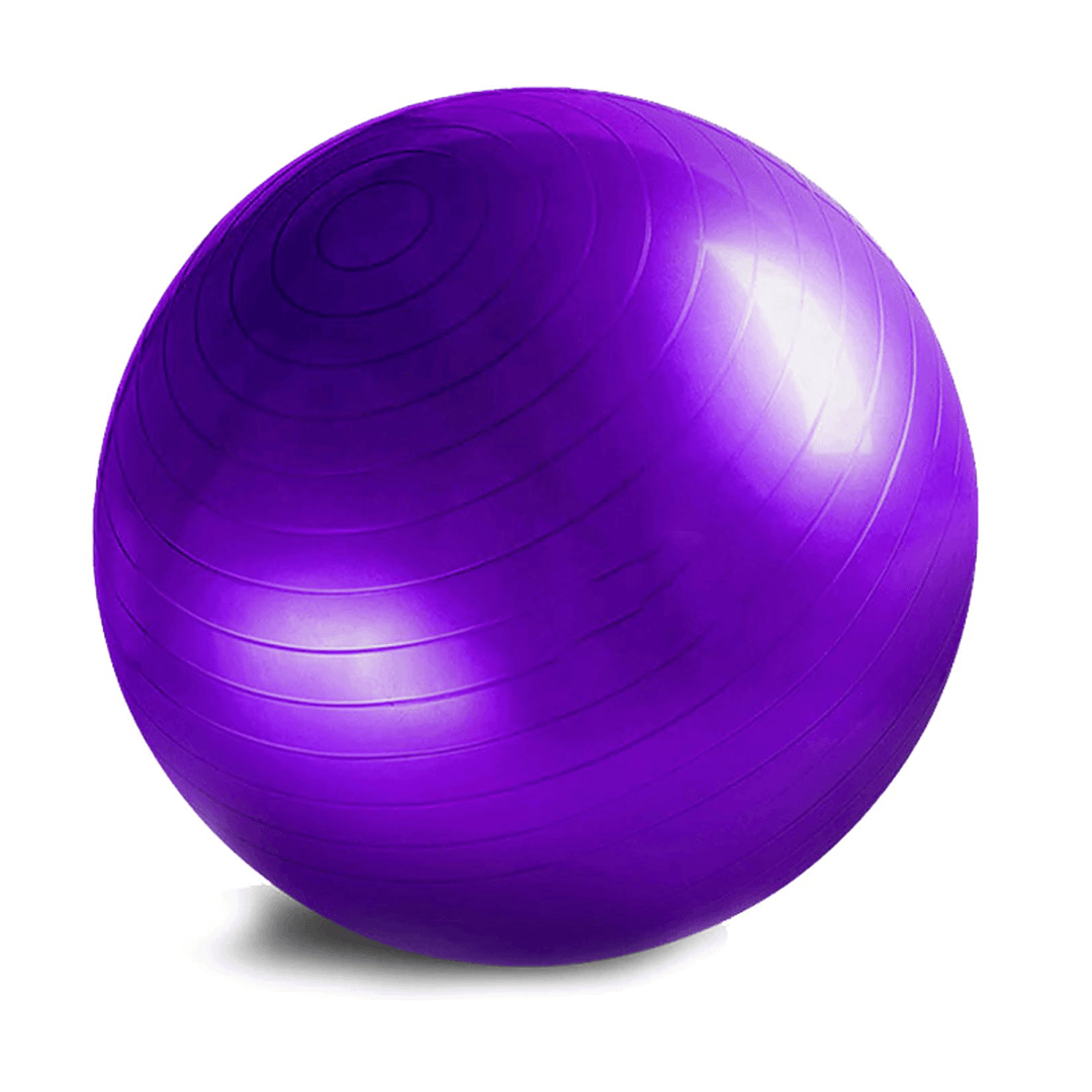 Purple Yoga Ball 65CM by X-RIVAL - Fitness Equipment Vancouver